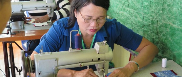 2017 sewing DFG shields